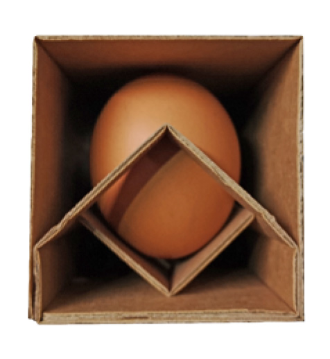 egg